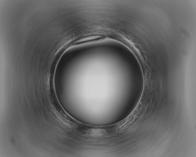 X0000112720154200908201255
