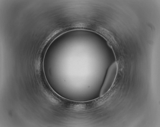 X0000112720156200908201255
