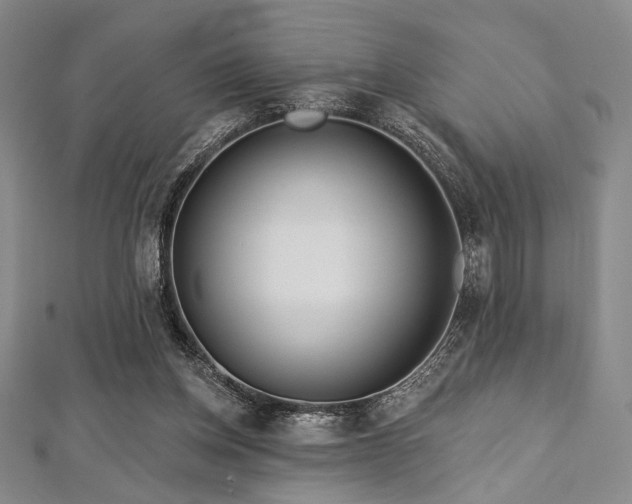 X0000112720158200908201255