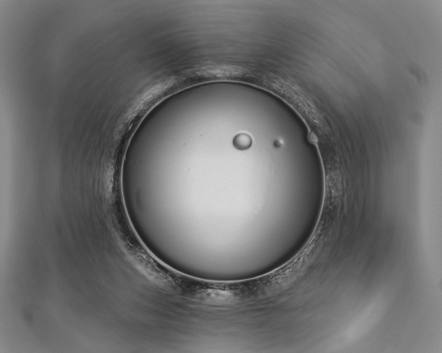 X0000112720159200908201255