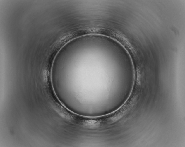X0000112720161200908201255