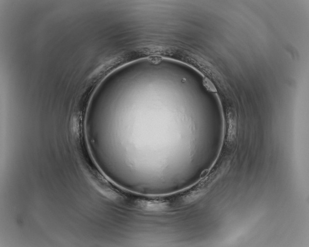 X0000112720165200908201255