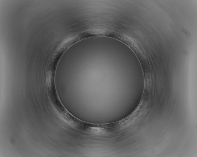 X0000112720167200908201255