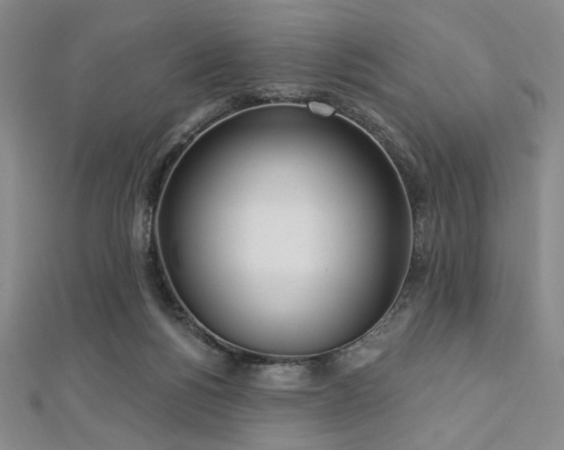 X0000112720168200908201255
