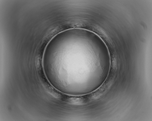 X0000112720169200908201255