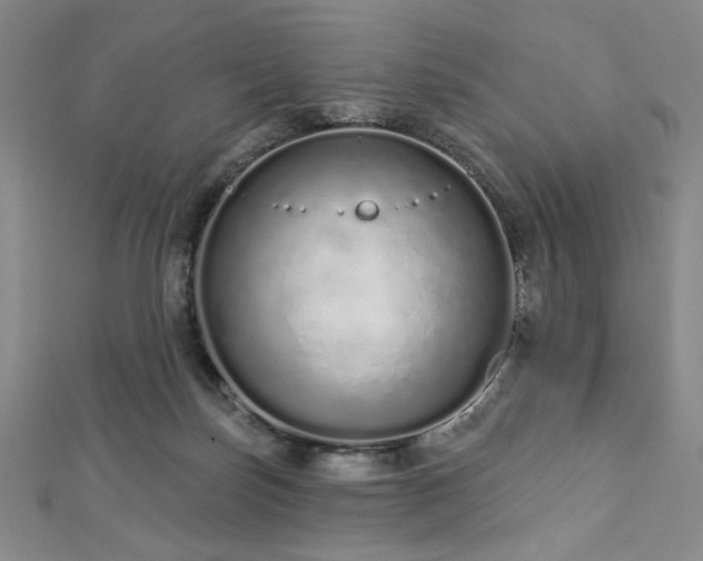 X0000112720171200908201255
