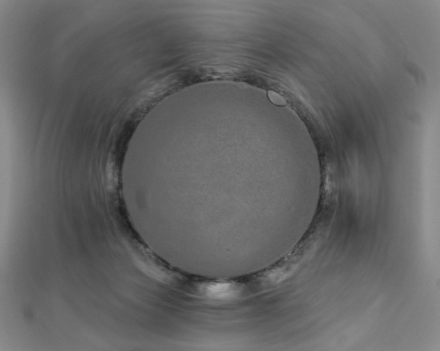 X0000112720173200908201255