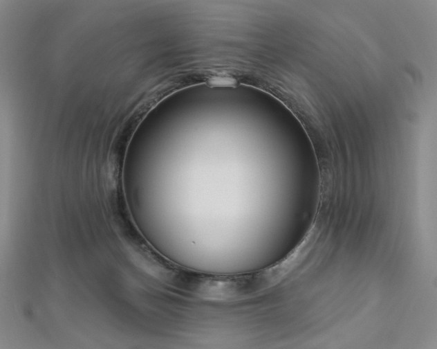 X0000112720174200908201255