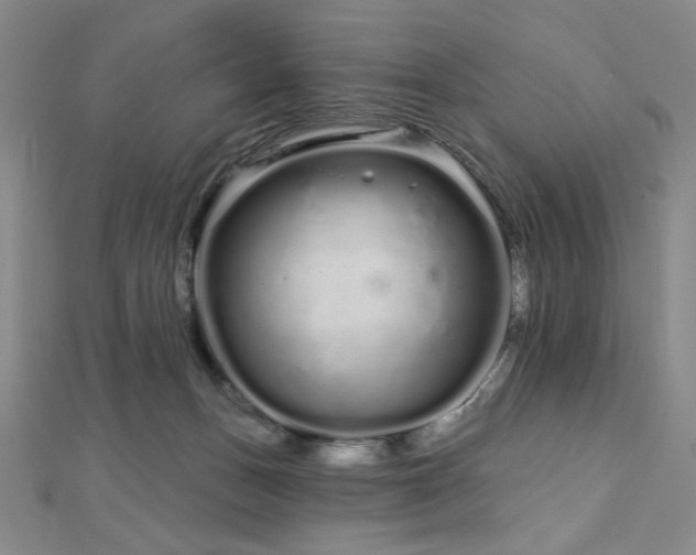 X0000112720175200908201255