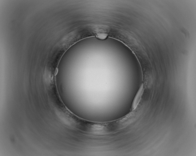 X0000112720176200908201255