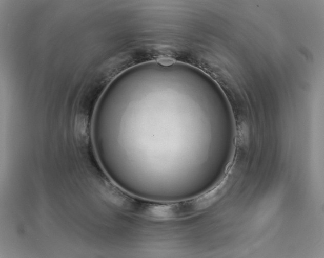 X0000112720178200908201256
