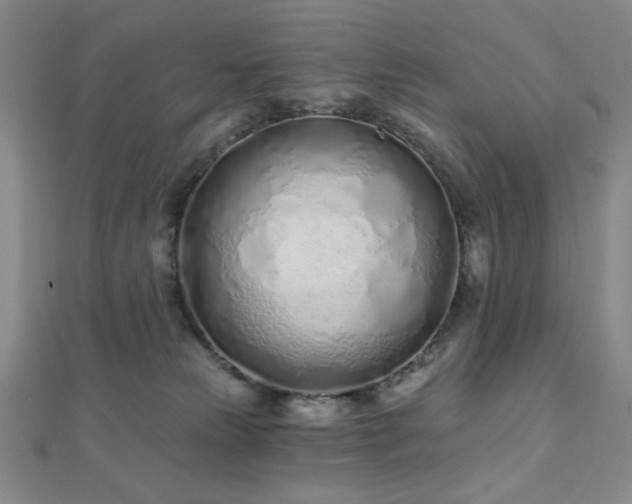 X0000112720181200908201256