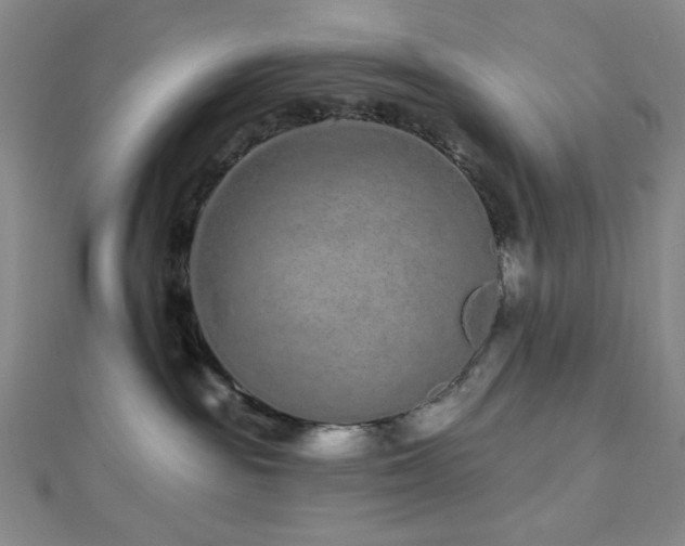 X0000112720189200908201256