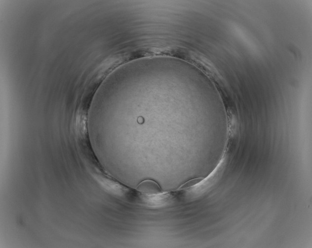 X0000112720191200908201256