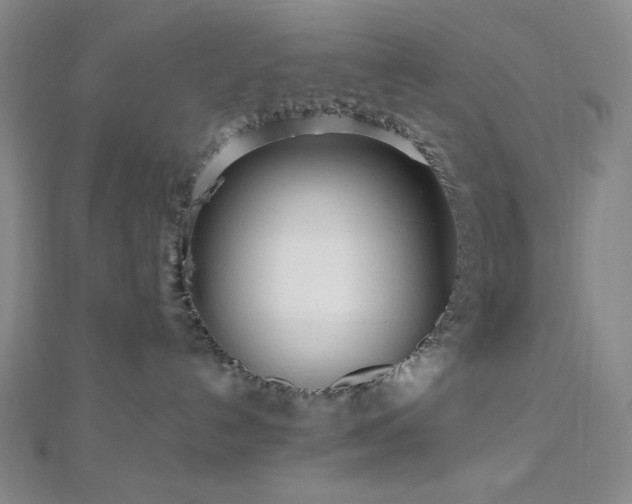 X0000112720192200908201256