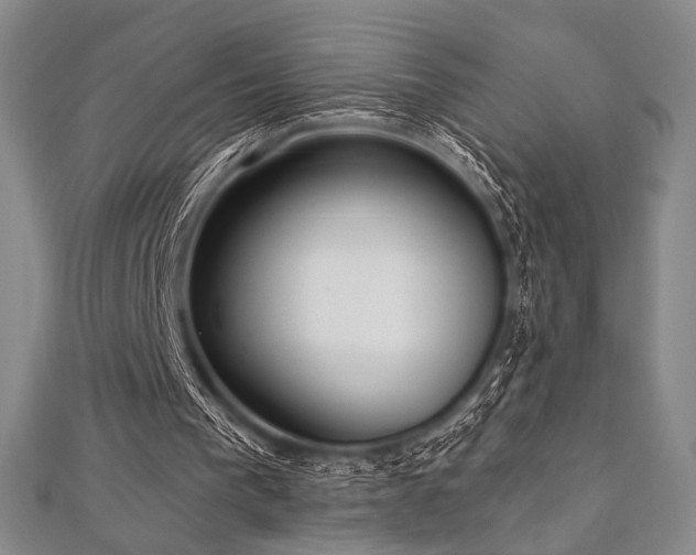 X0000112720193200908201255