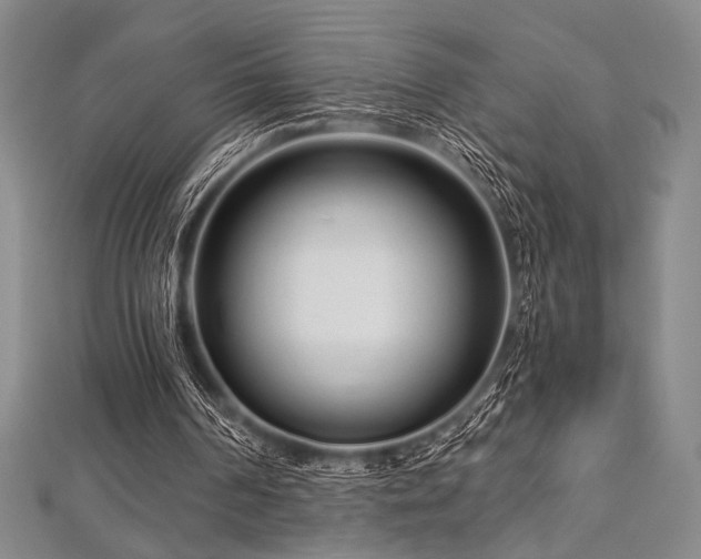 X0000112720194200908201255