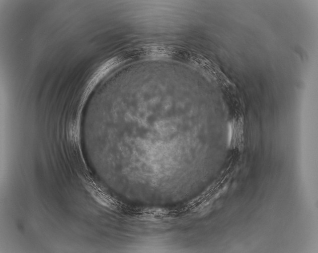 X0000112720195200908201255