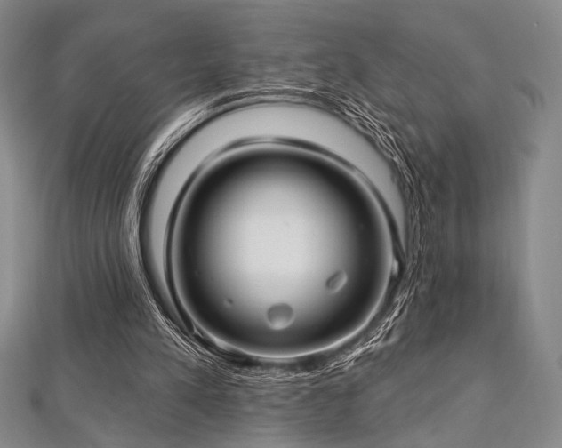 X0000112720197200908201255