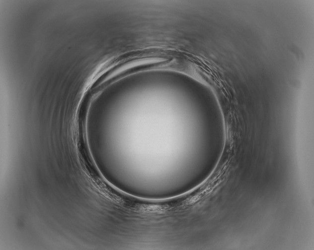 X0000112720198200908201255