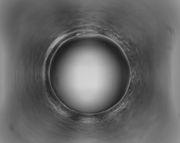 X0000112720200200908201255