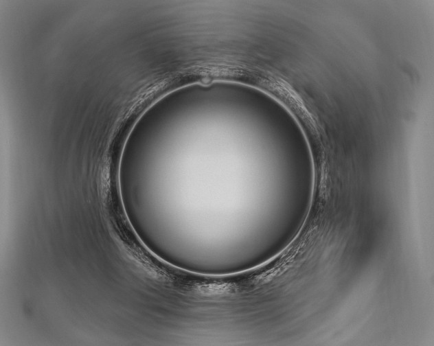X0000112720202200908201255