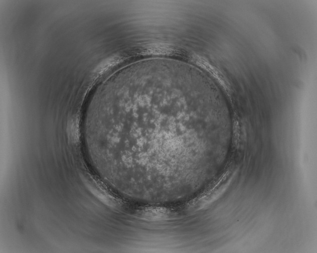 X0000112720203200908201255