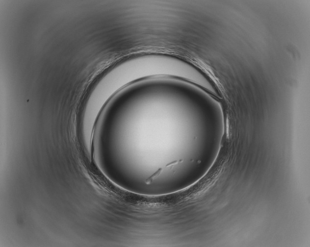 X0000112720205200908201255