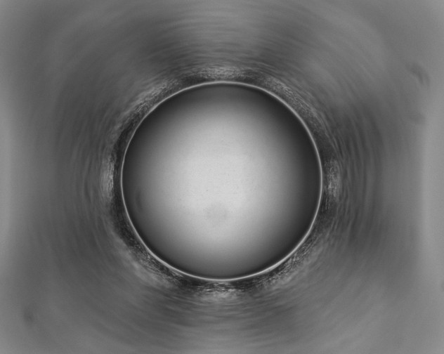 X0000112720206200908201255