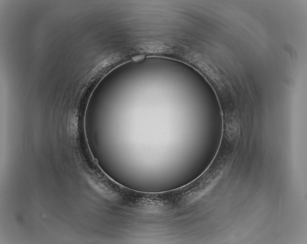 X0000112720207200908201255