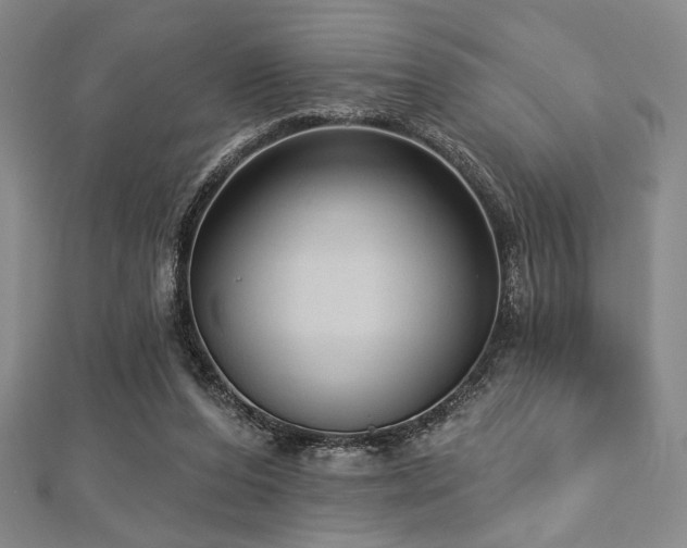 X0000112720208200908201255