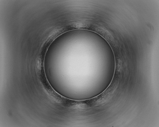X0000112720210200908201255