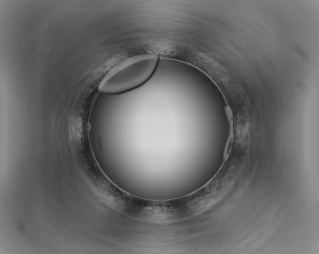 X0000112720211200908201255