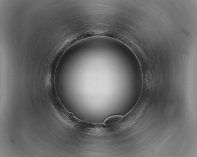 X0000112720212200908201255