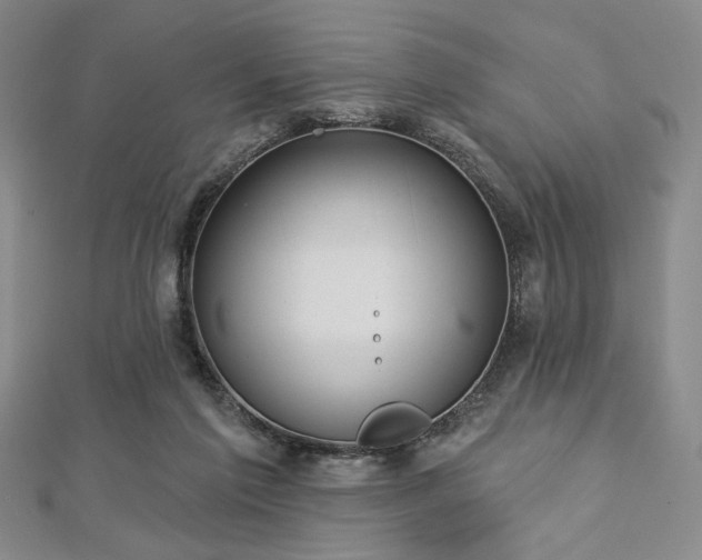 X0000112720213200908201255