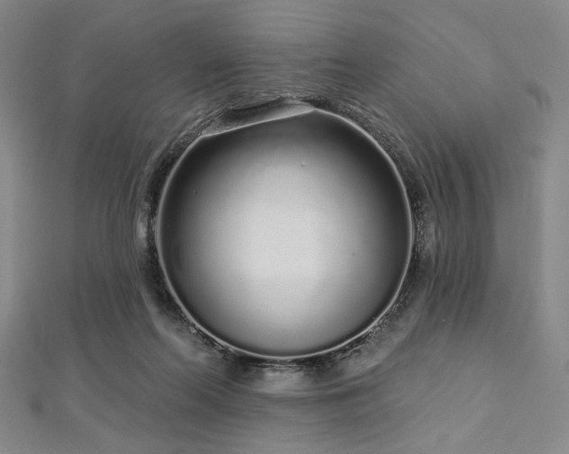 X0000112720214200908201255