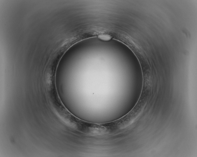X0000112720215200908201255