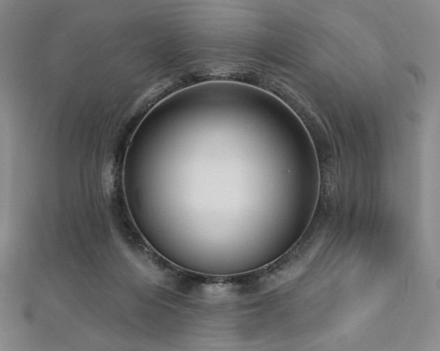 X0000112720216200908201255