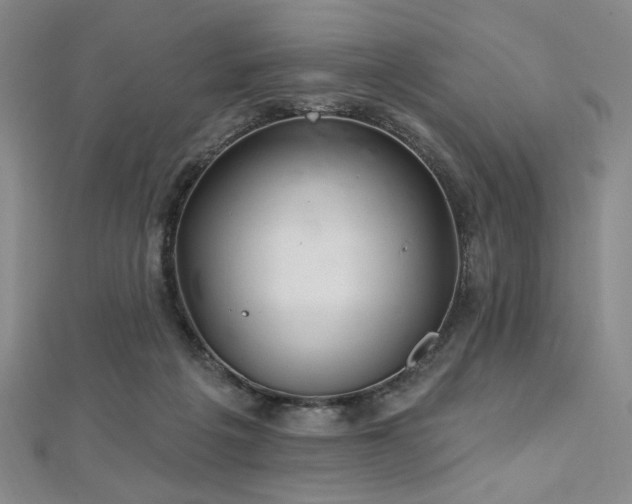 X0000112720217200908201255