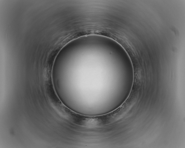 X0000112720218200908201255