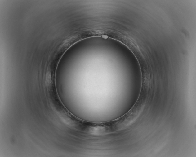 X0000112720220200908201255