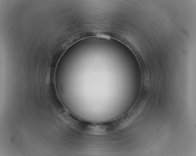 X0000112720221200908201255