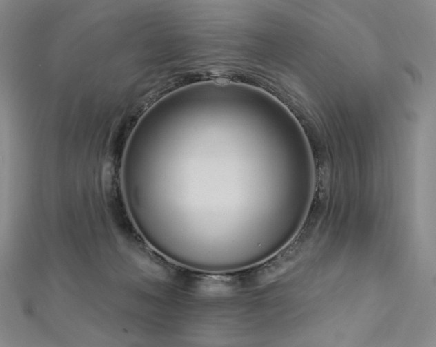 X0000112720222200908201255