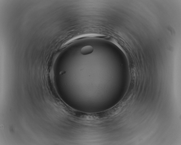 X0000112720223200908201255