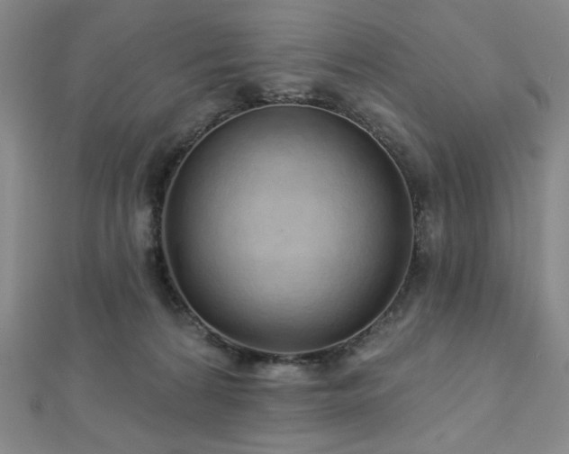 X0000112720224200908201255