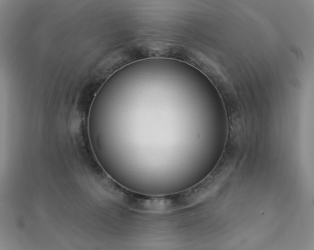 X0000112720225200908201255