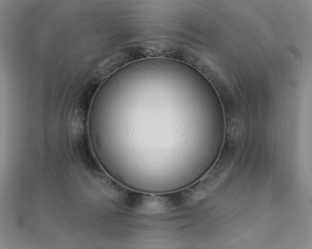 X0000112720226200908201255