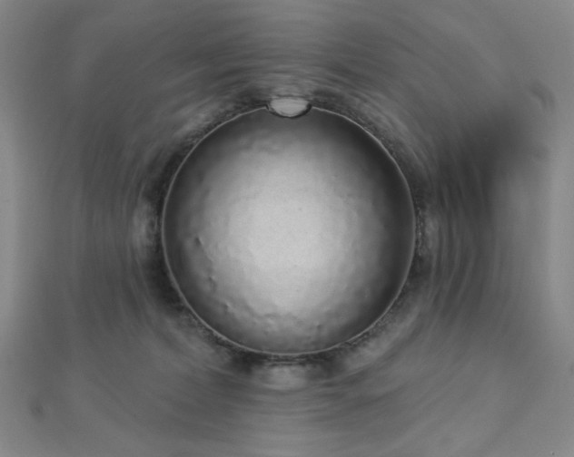 X0000112720228200908201255