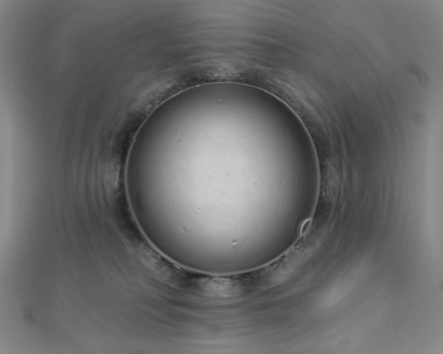 X0000112720230200908201255