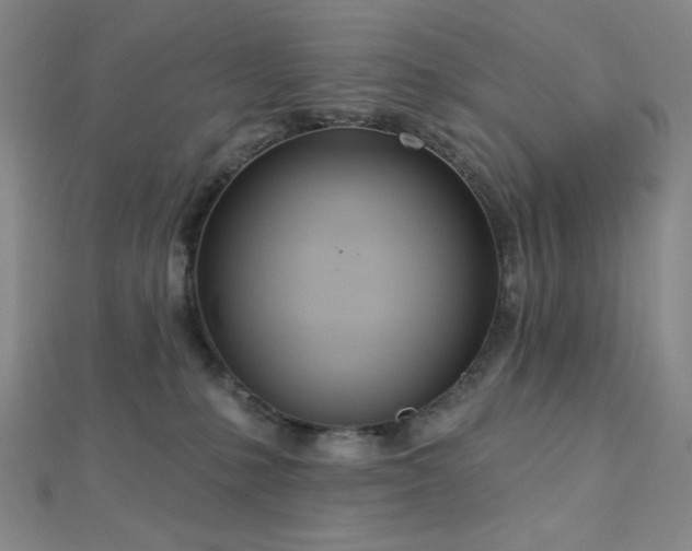 X0000112720231200908201255